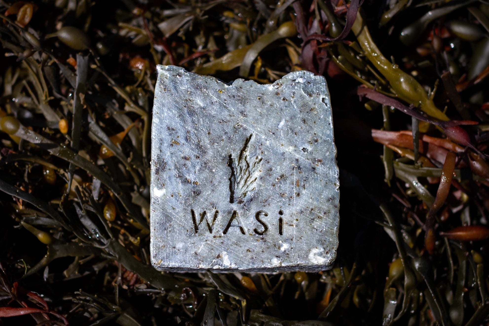 Seaweed soap