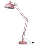 Classic Pink Desk Style Floor Lamp with Blue Flex