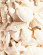 Sand White Large Ceramic Shell vase