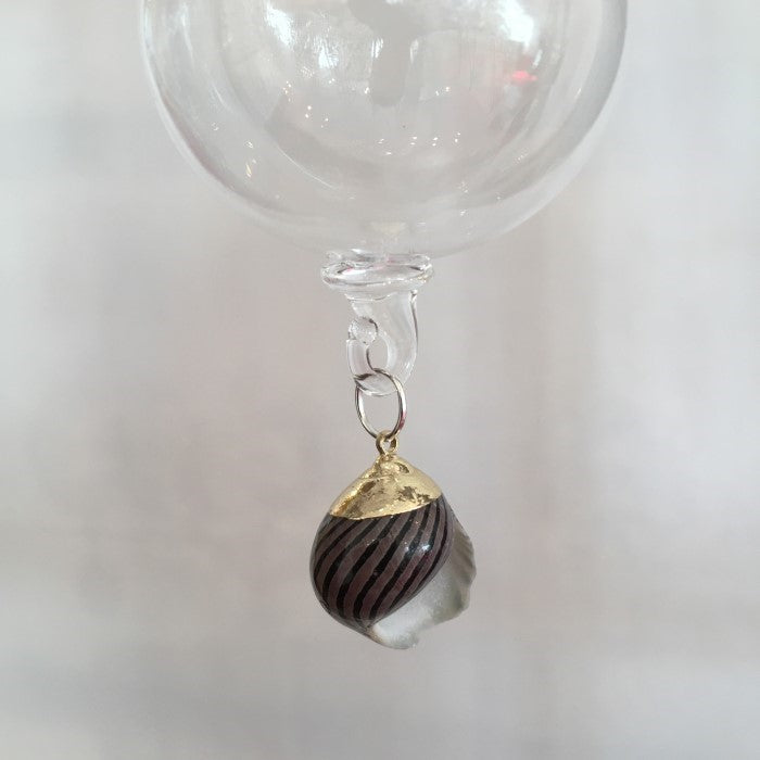 Winkle Shell Decoration