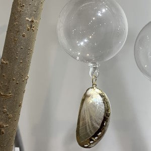 Banded Wedge / Abalone Shell Decoration