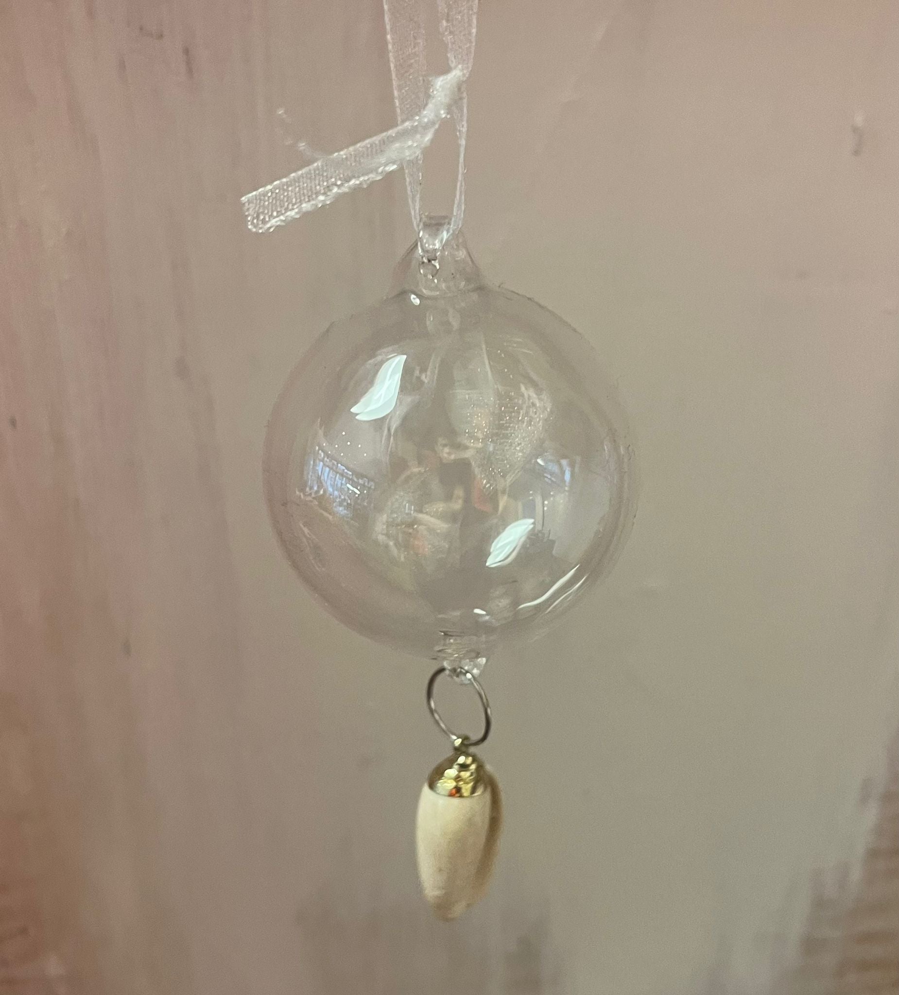 Oliva Shell Decoration