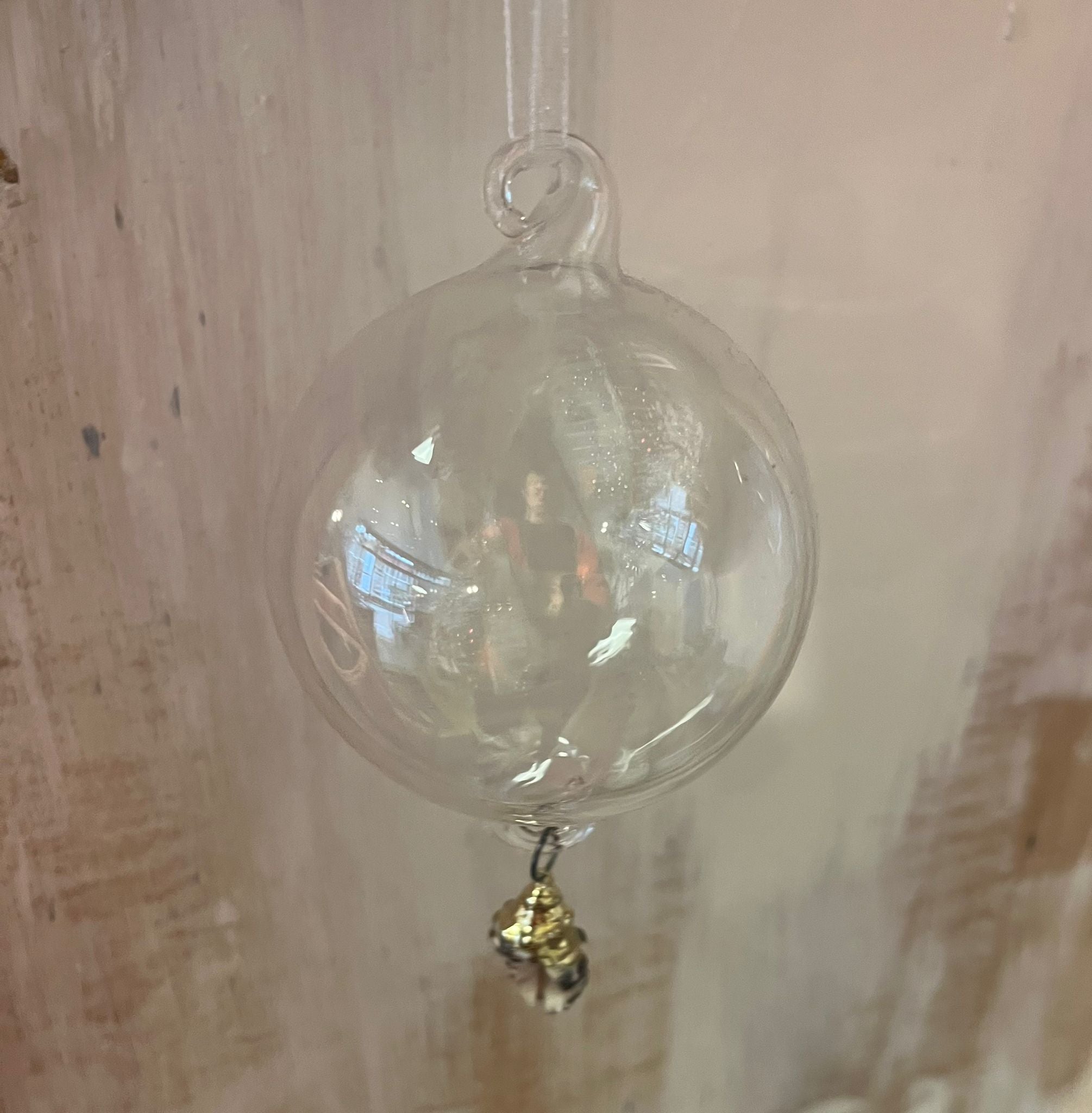 Murex Shell Decoration