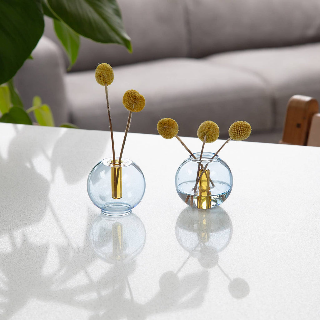 Mini Bubble Glass Vase