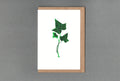 Ivy. Letterpress Greeting Card. Eco Friendly