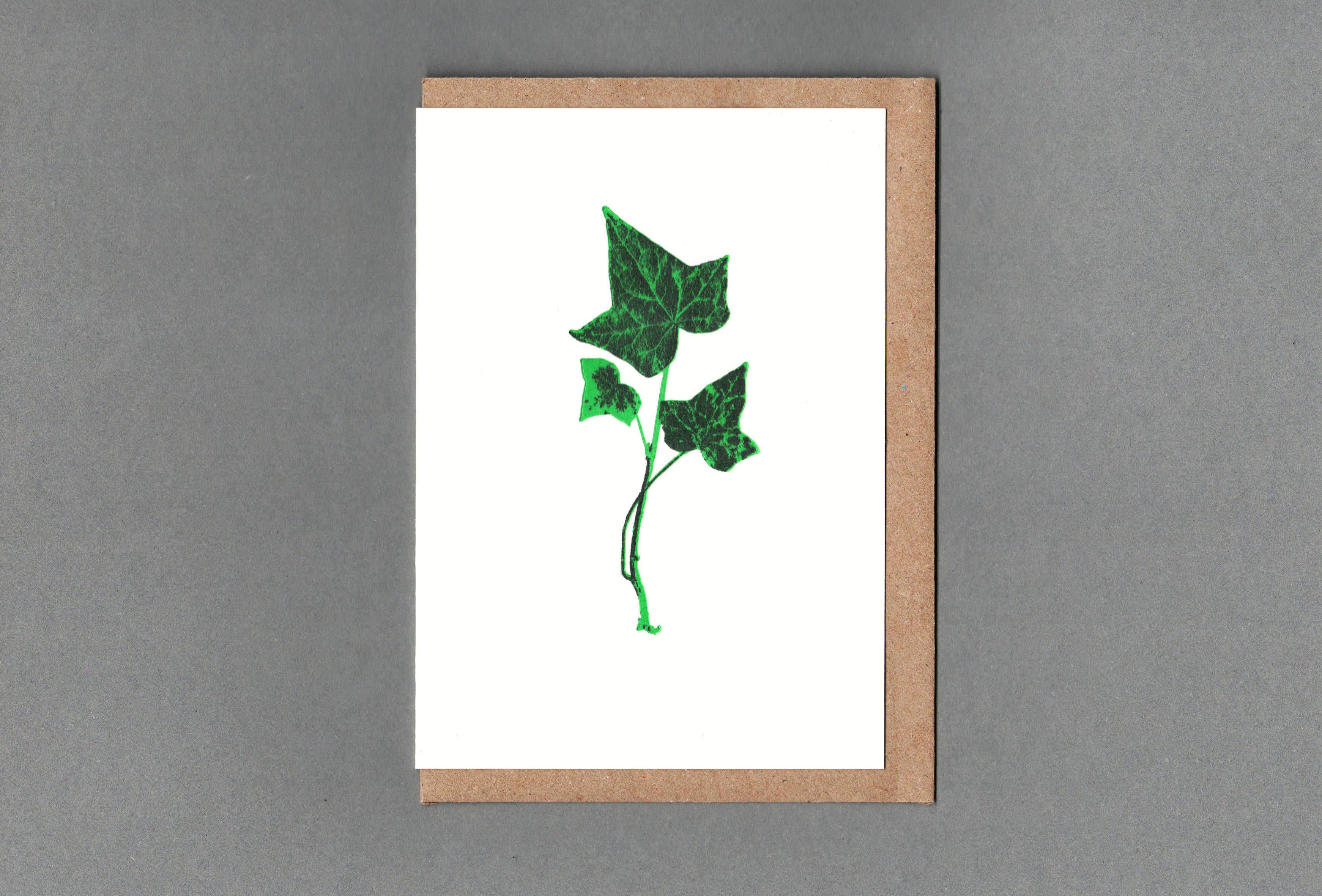 Ivy. Letterpress Greeting Card. Eco Friendly