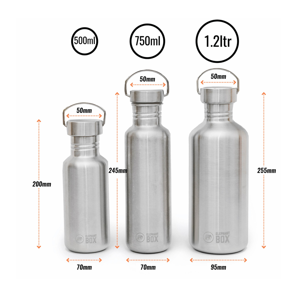 Stainless Steel Single-Wall Bottles