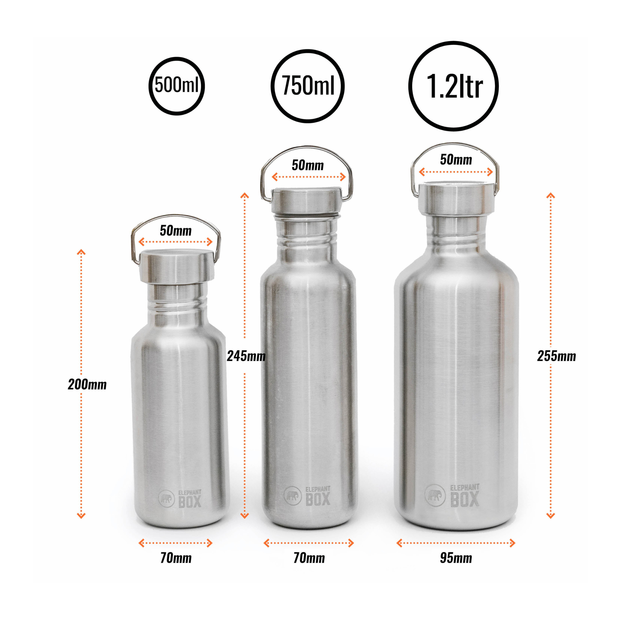 Stainless Steel Single-Wall Bottles